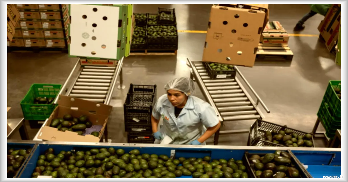 Le Mexique avance timidement vers la semaine de quarante heures