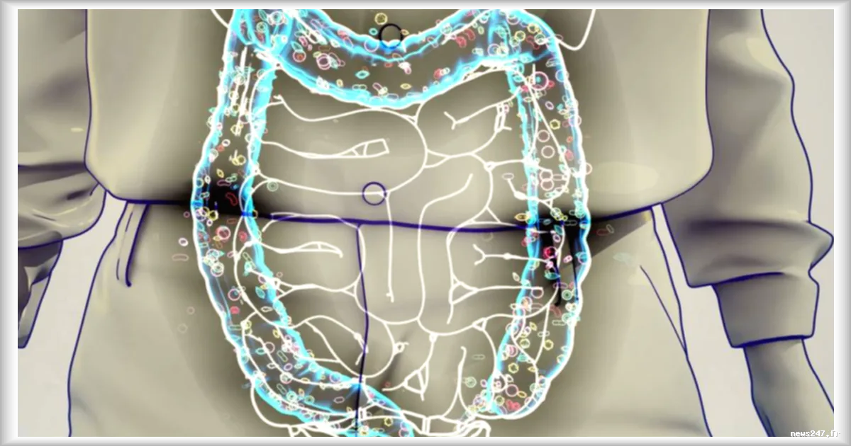 Le microbiote intestinal révélerait le risque de développer la maladie de Parkinson selon une étude
