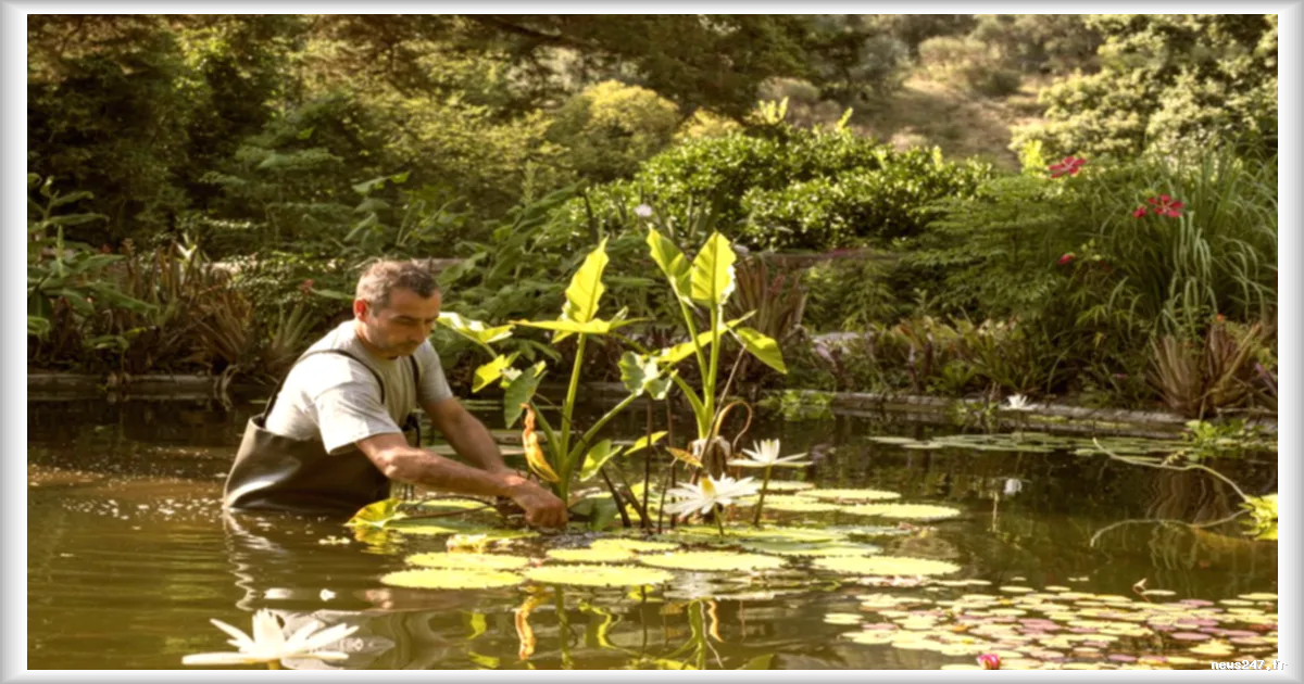 Le Muséum national d'histoire naturelle célèbre ses 400 ans avec cinq jardins remarquables