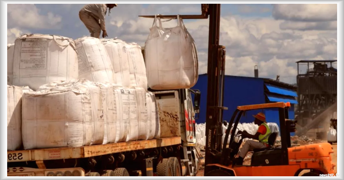 Le nationalisme des ressources en Afrique confronte le modèle extractiviste chinois