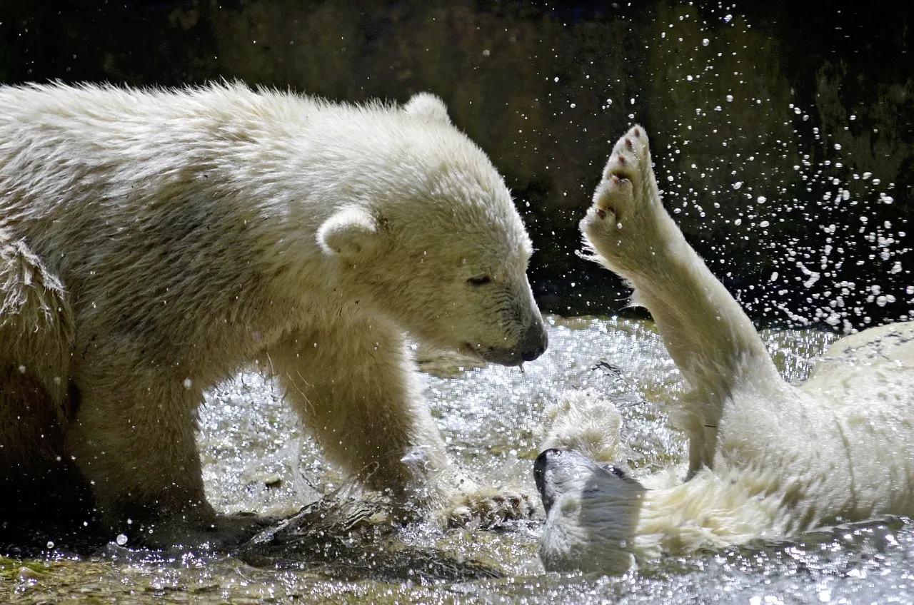 Le nouveau polar de Thomas Cantaloube ressuscite les vieux démons de Marseille
