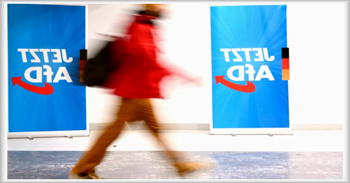 Le parti d'extrême droite allemand AfD ne peut pas être classé « extrémiste avéré »