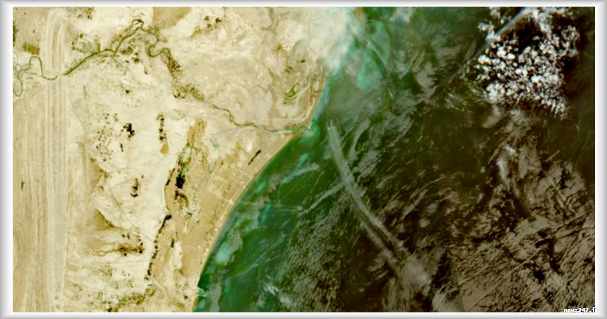 Le Pentagone estime jusqu’à six mois pour déminer le détroit d’Ormuz, selon le Washington Post