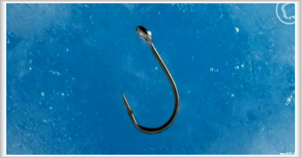 Le pire choix des criminels ? Coinbase gèle 12 millions de dollars liés à une arnaque de phishing