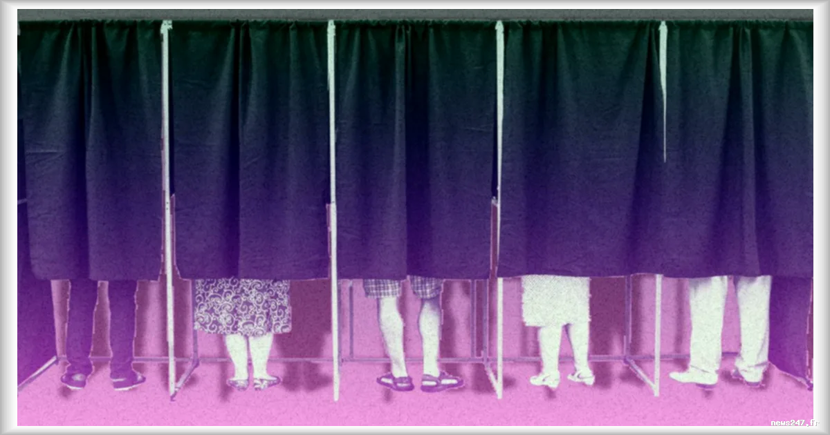 Le politiste Frédéric Sawicki souligne l'importance pour le PS de prendre en compte les attentes des électeurs de LFI