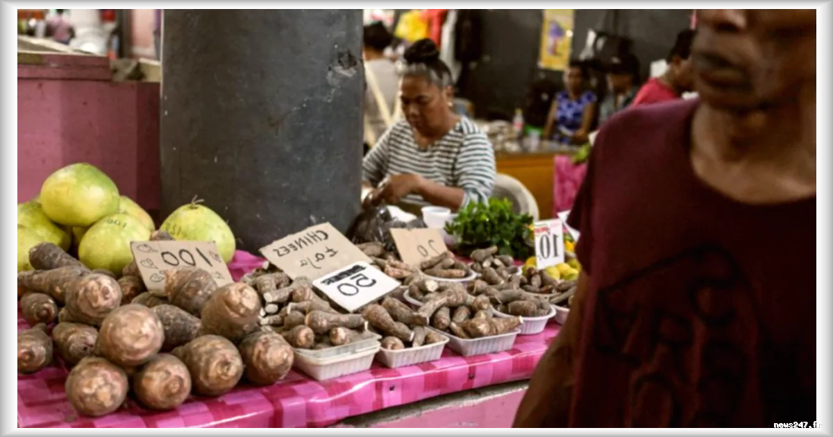 Le pom, plat emblématique du Suriname, reflet d'un héritage culinaire et historique