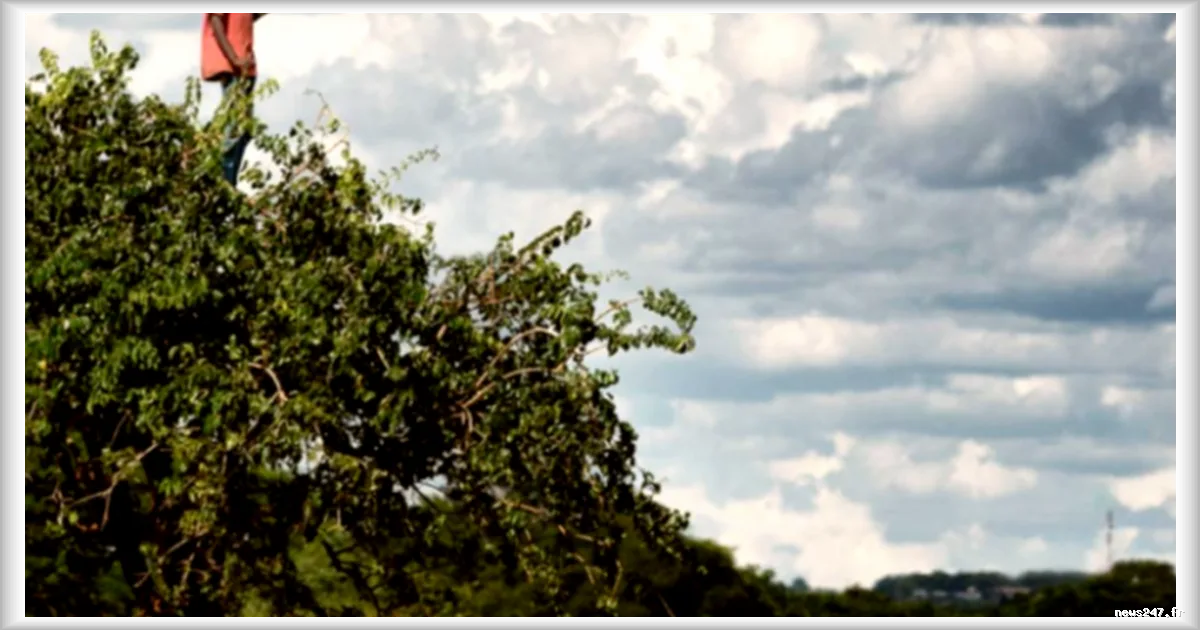 Le Printemps des Poètes met la liberté à l'honneur dans plus de cinquante pays, dont la France