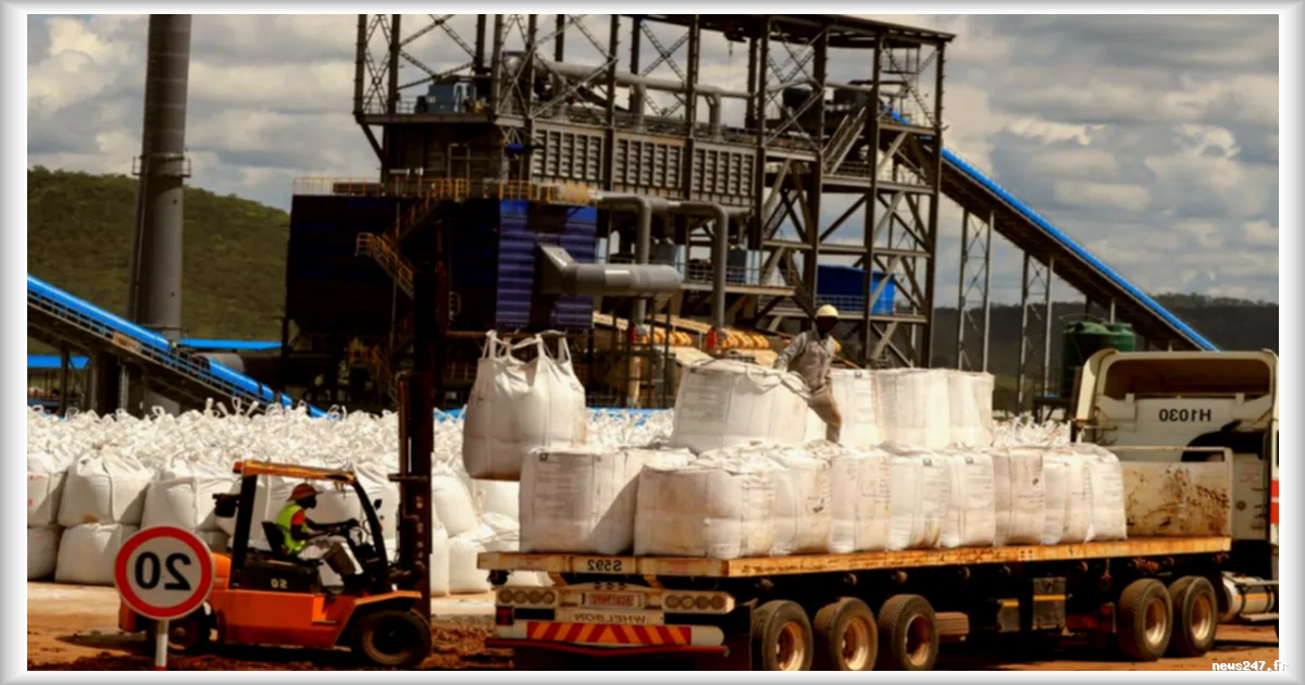Le prix du lithium en forte hausse suite à l'interdiction d'exportation par le Zimbabwe
