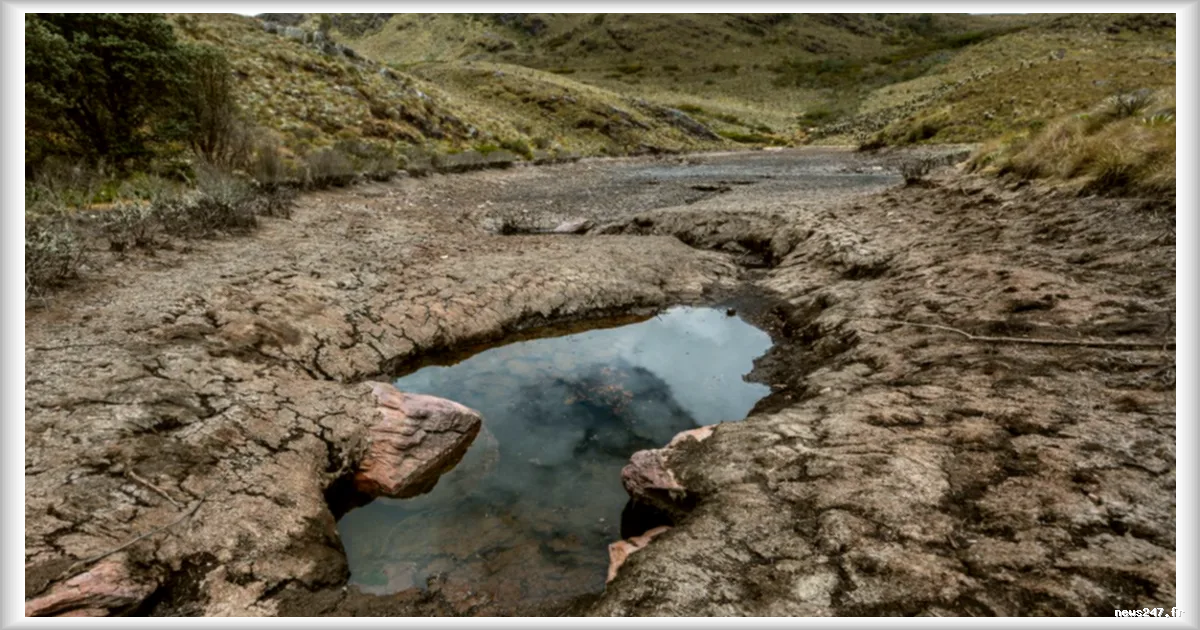 Le retour probable d'El Niño inquiète les experts en climatologie