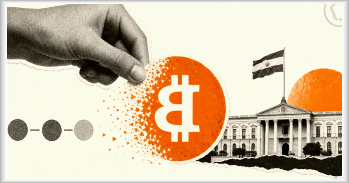 Le Salvador : l’abandon progressif du Bitcoin comme moyen de paiement malgré son statut légal