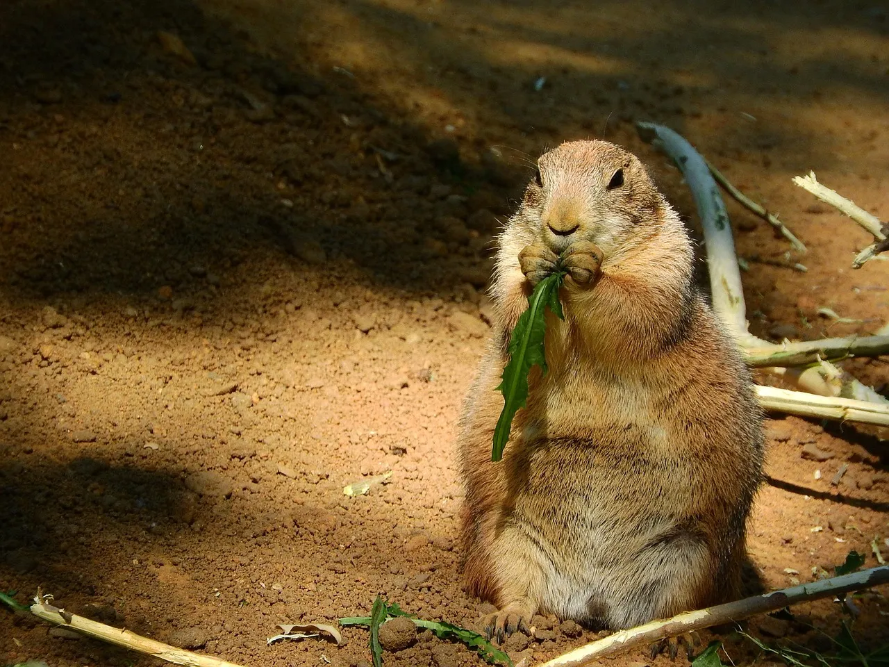 Le scandale Epstein : des noms cachés, des questions qui fâchent