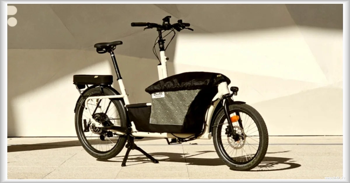 Le Shwette Baggy, un vélo cargo électrique compact et polyvalent