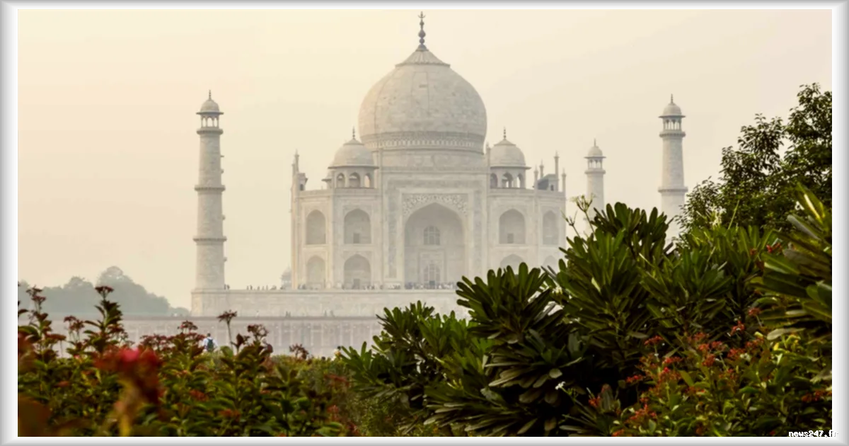 Le stablecoin USDT enregistre une prime record de 8,5 % en Inde, signe d'une forte demande
