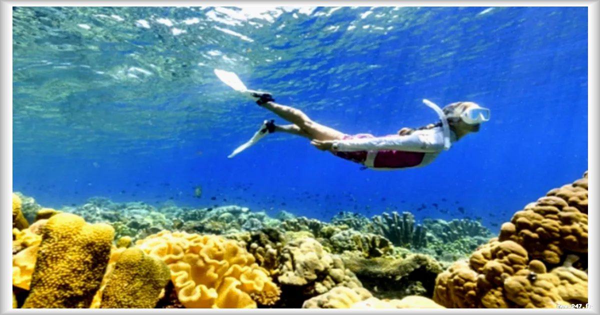 Le tourisme en forte croissance aux îles Salomon : attractions et activités incontournables dans l'archipel