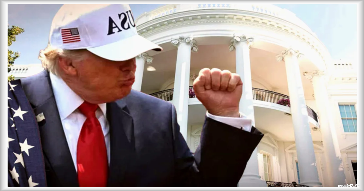 L’effondrement spectaculaire de Trump Digital Gold : un memecoin s’effondre de 99 % en quelques minutes