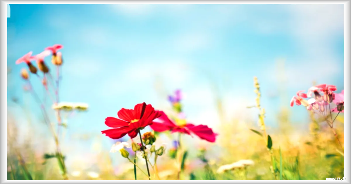 L'équinoxe de printemps 2026 : pourquoi l'équinoxe a lieu le 20 mars cette année ?
