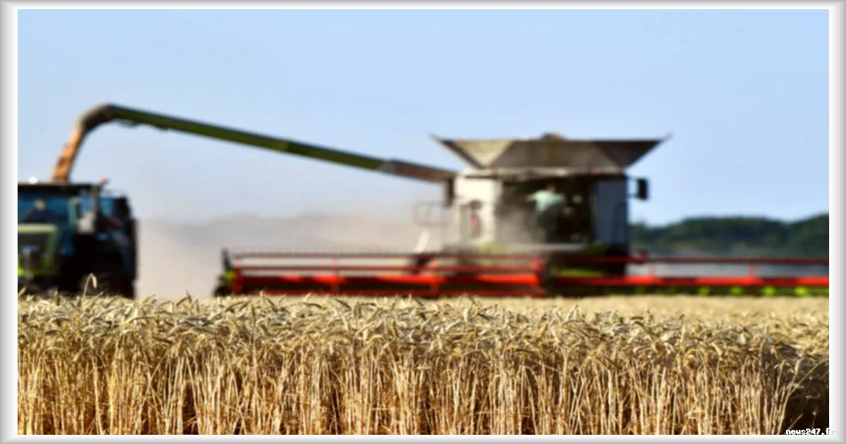 Les autorités sanitaires accusées d'avoir ignoré des éléments en faveur du « bio »