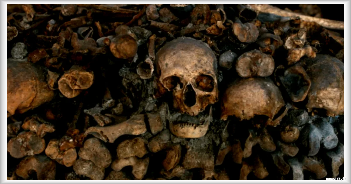 Les catacombes de Paris subissent une rénovation majeure pour leur redonner vie