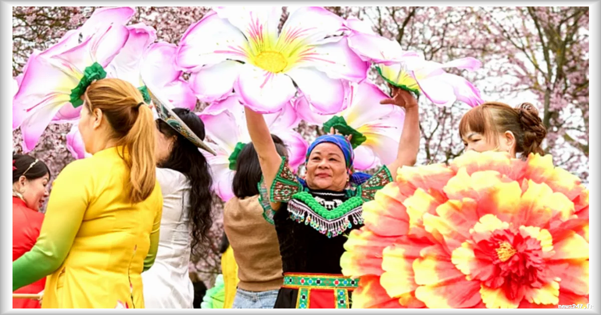 Les cerisiers en fleurs deviennent une attraction touristique incontournable à Berlin
