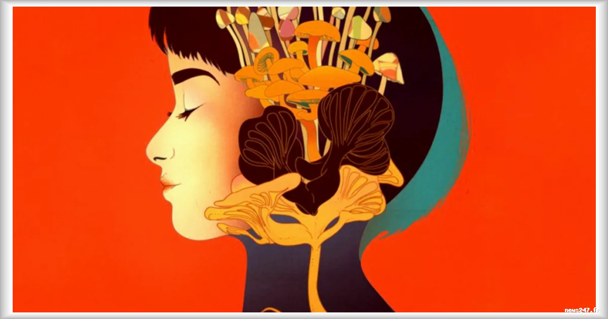 Les champignons hallucinogènes pour soulager les symptômes de la ménopause : une étude en cours