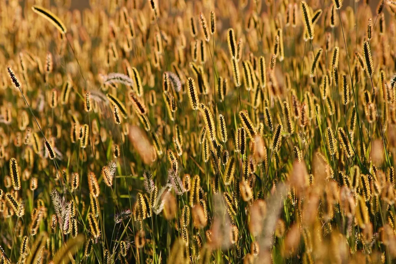 Les cinq plus grandes puissances européennes en matière de défense s'unissent pour développer un programme de drones à bas coûts