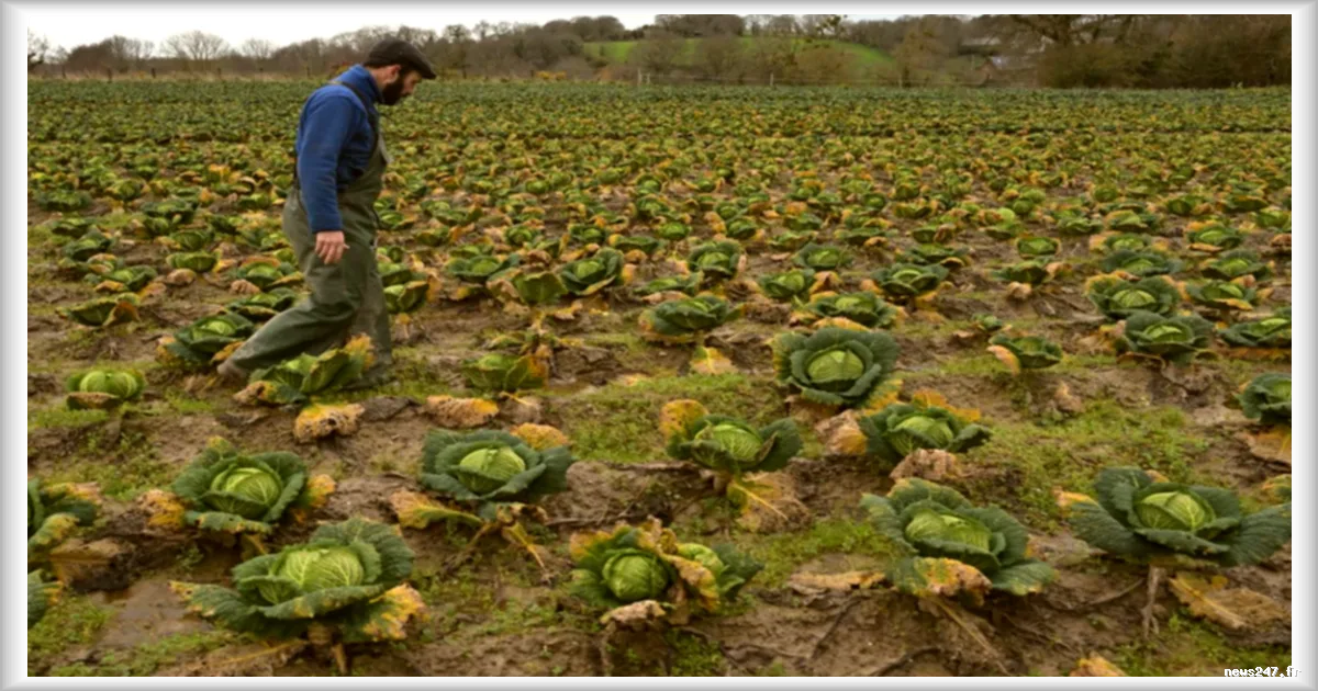 Les conséquences des pluies exceptionnelles de février sur les sols