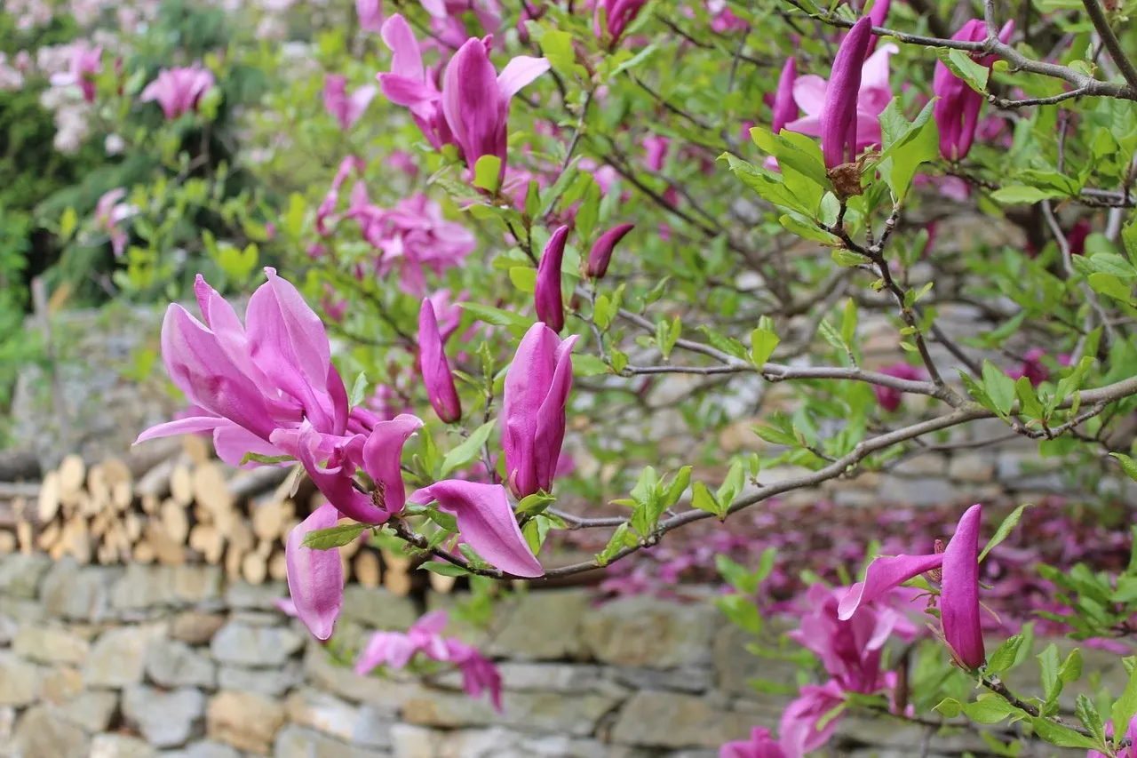 Les Crêpes Sans Culpabilité : Le Secret d'une Diététicienne pour Profiter de Ce Délice Tous les Jours