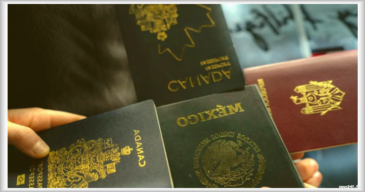 Les demandes de double passeport en hausse : les personnes cherchent des solutions dans leur arbre genealogique