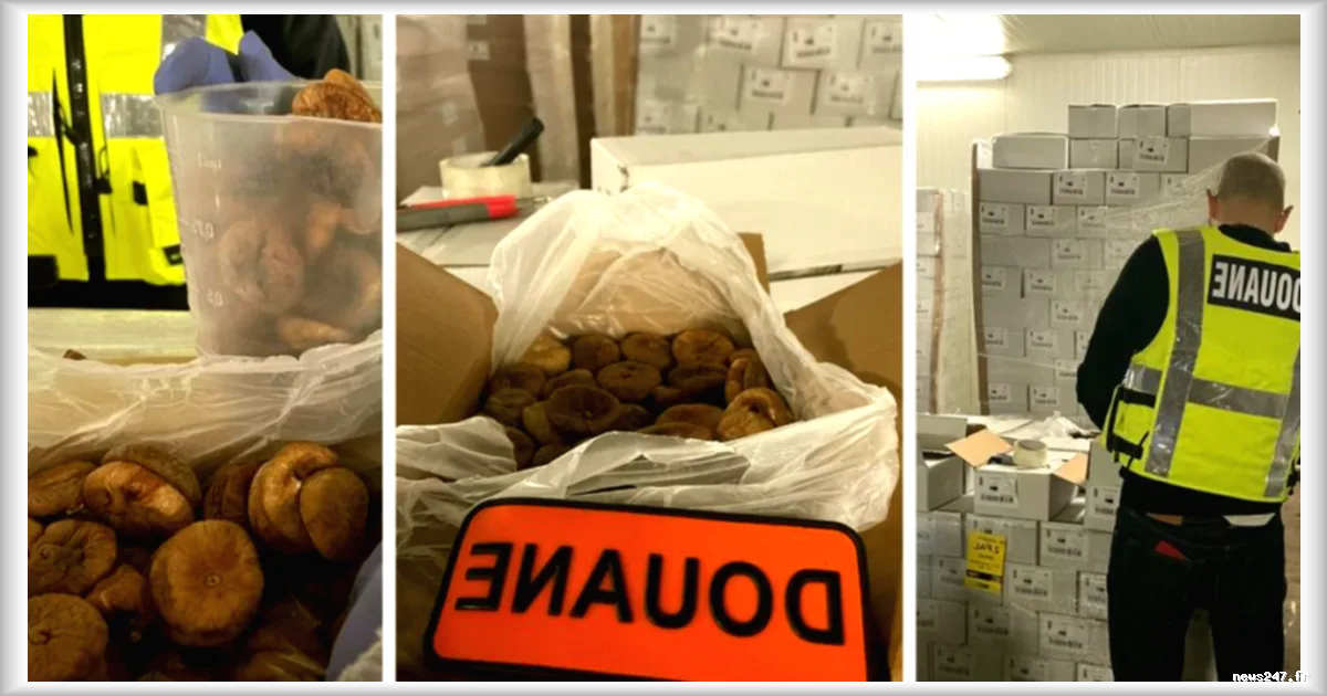 Les douaniers de Marseille veillent sur la sécurité alimentaire : contrôles renforcés depuis 2021