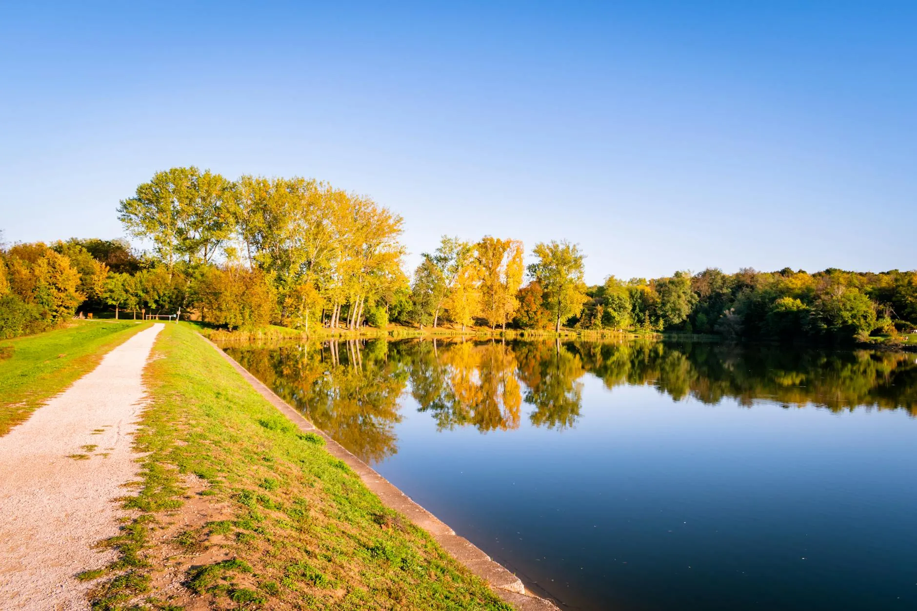 Les écologistes français face au tournant du réarmement : un virage doctrinal sous tension