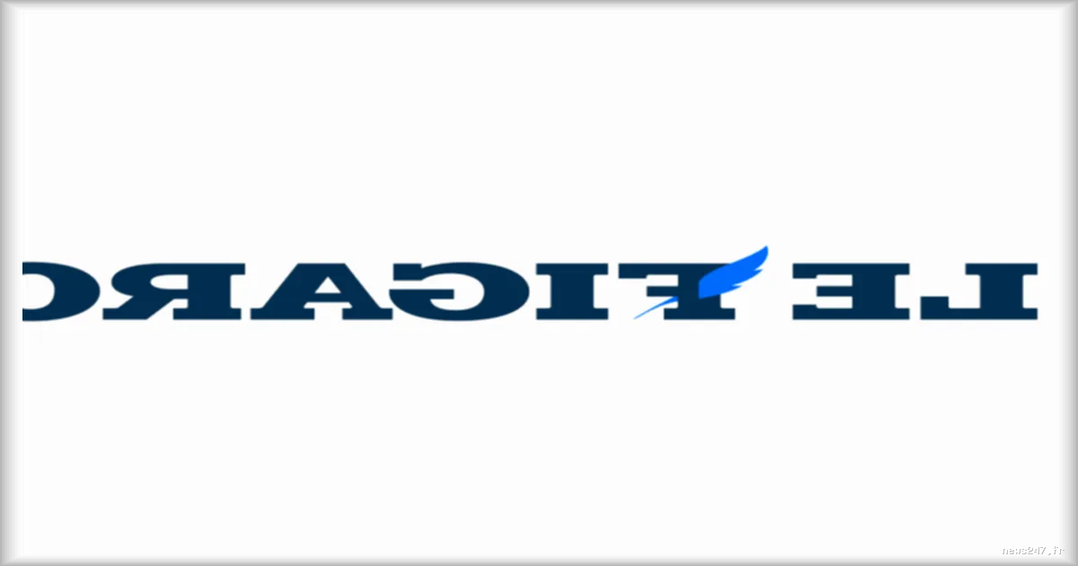 Les élections municipales : un scrutin marqué par la montée du RN et l'élection historique d'un maire LFI