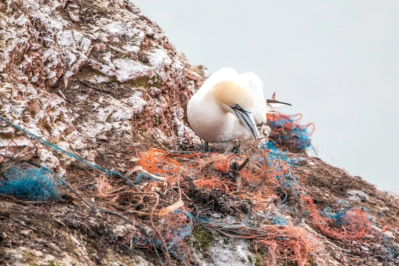 Les emballages alimentaires en plastique, première source de pollution des océans selon une étude mondiale