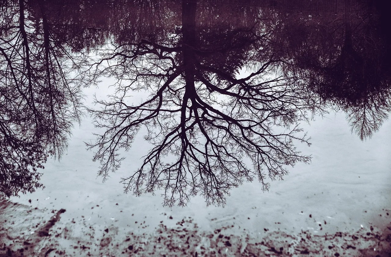 Les « Epstein Files » révèlent des ramifications internationales