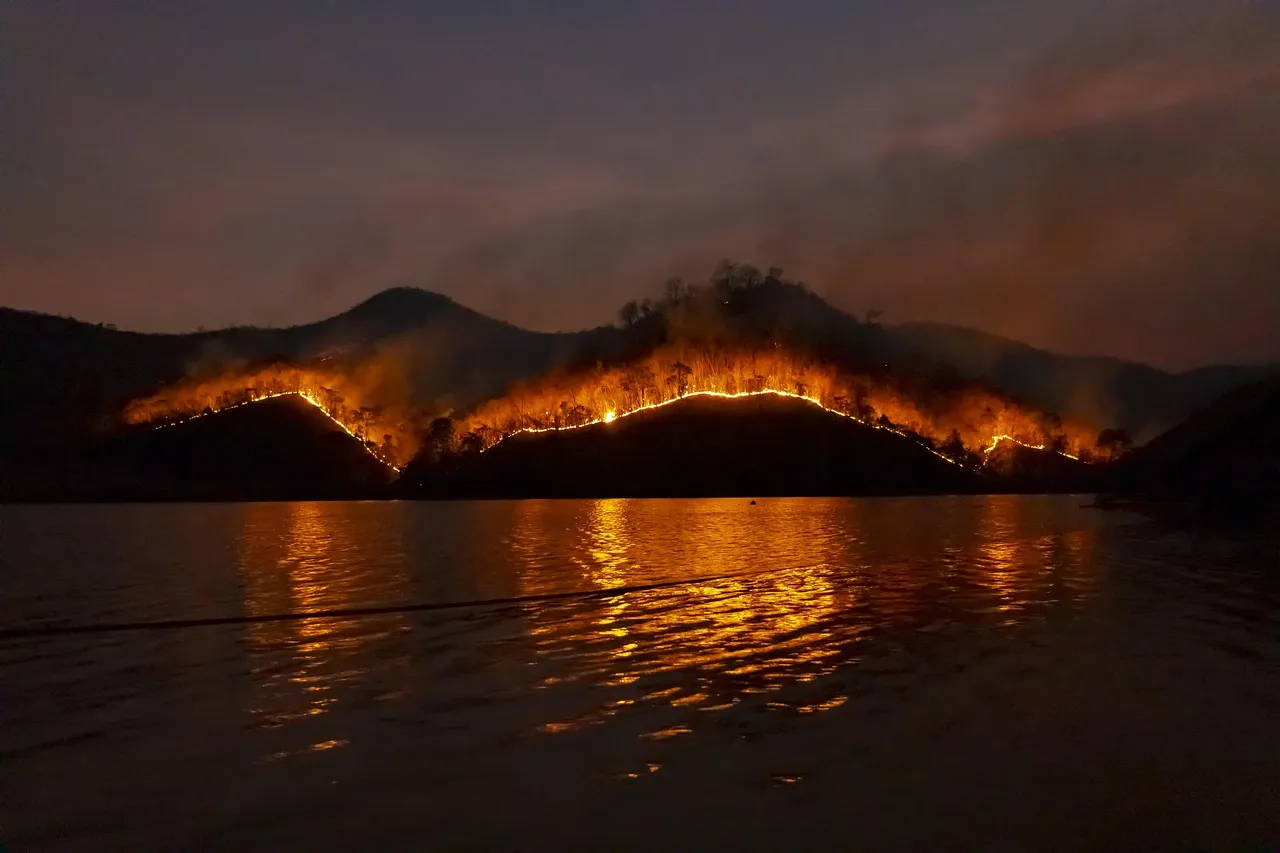 Les États-Unis en proie aux flammes : 99 grands feux actifs