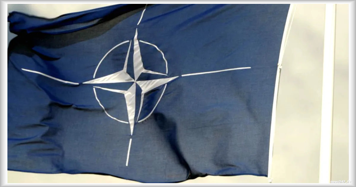 Les Européens incités à renforcer leurs capacités de défense par les forces américaines au sein de l'Otan