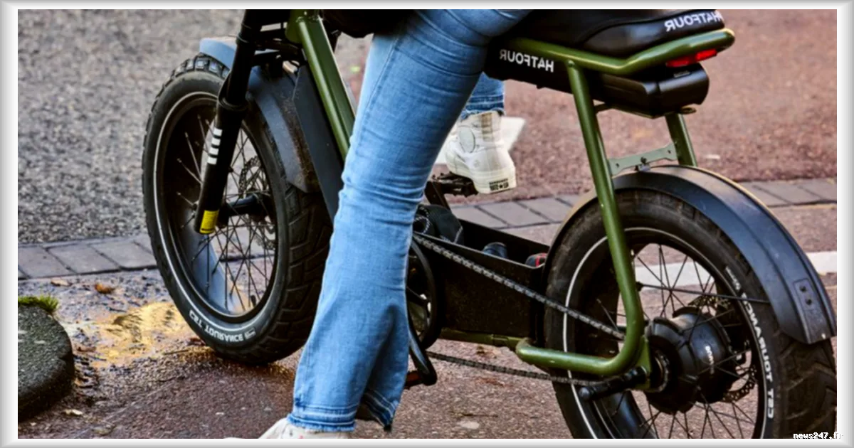 Les fatbikes, vélos électriques à gros pneus, suscitent des inquiétudes en Belgique et aux Pays-Bas