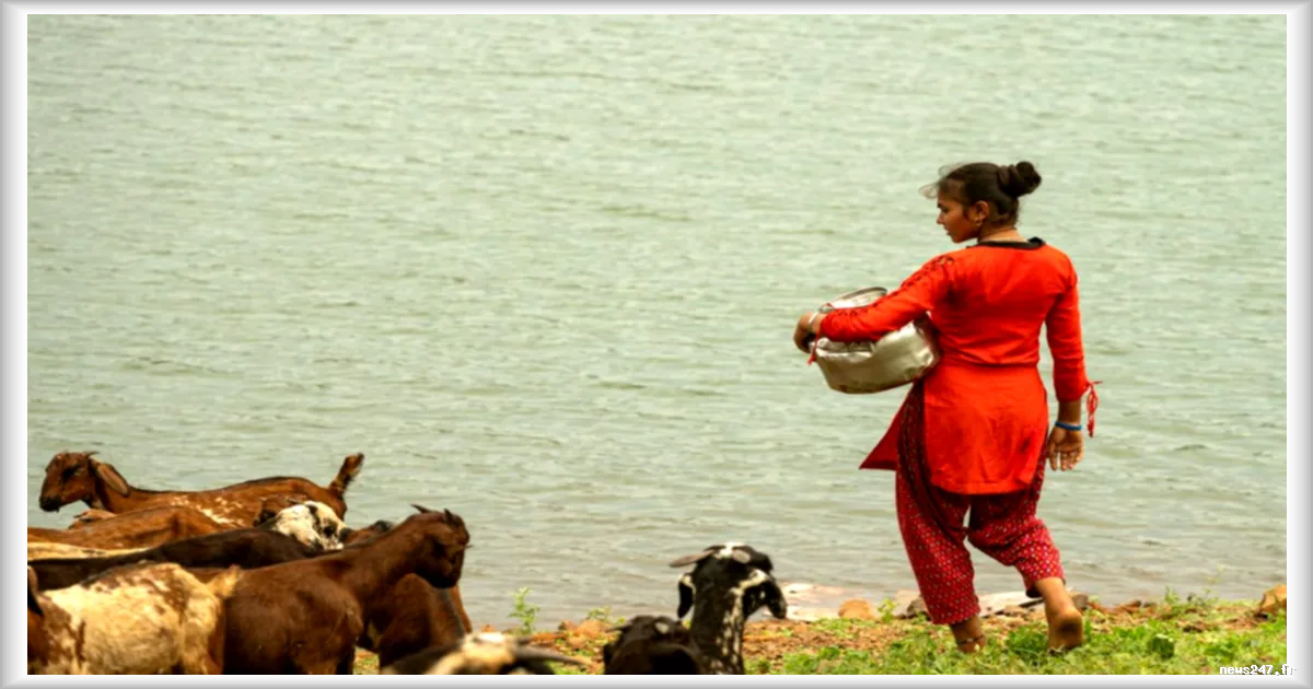Les femmes consacrent trois fois plus de temps que les hommes à la collecte d’eau dans le monde