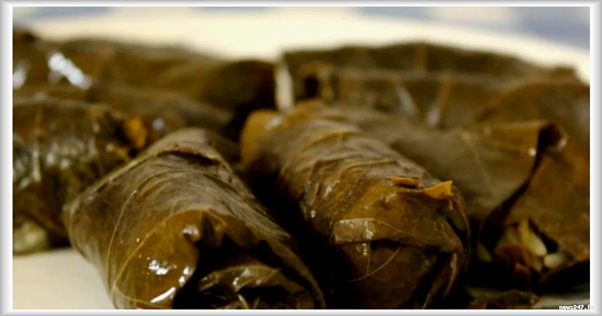 Les feuilles de vigne farcies, un plat ancestral grec aux multiples traditions