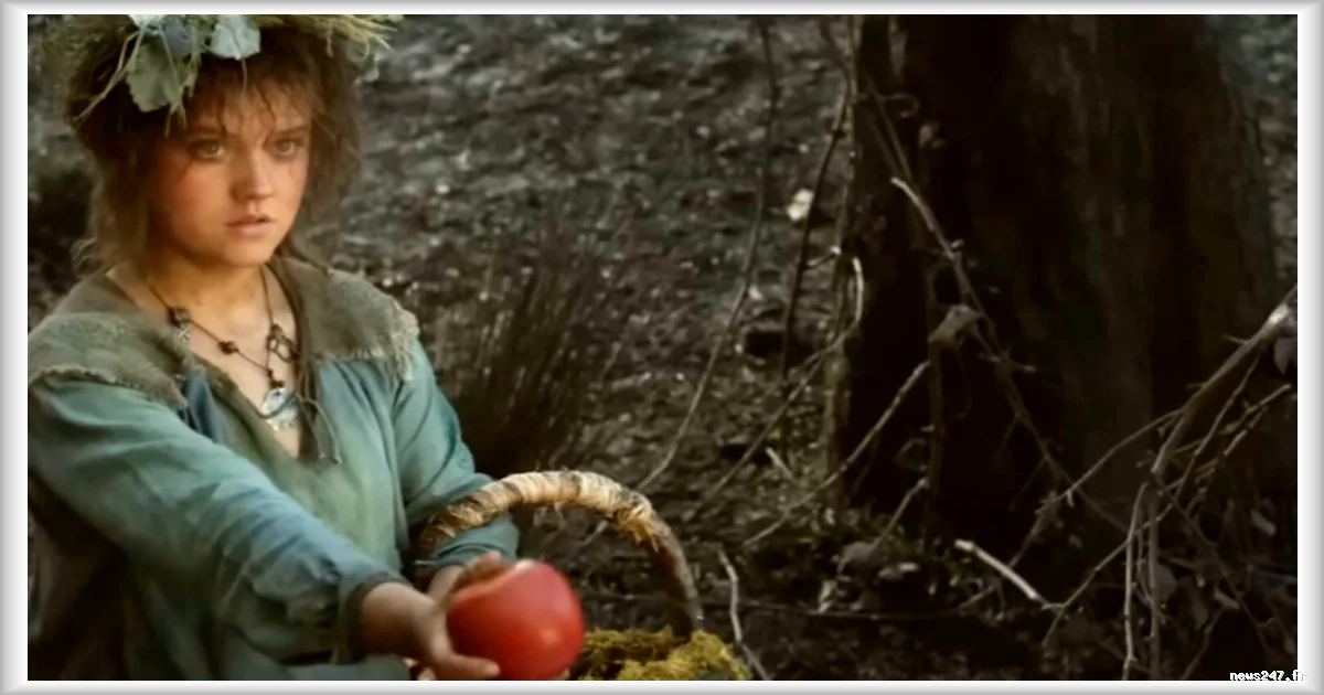 Les Hobbits exclus de la saison 3 des Anneaux de Pouvoir, confirme un showrunner