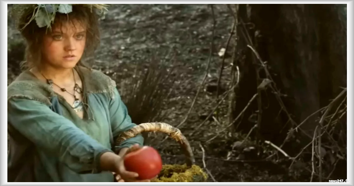 Les Hobbits exclus de la saison 3 des Anneaux de Pouvoir, confirme un showrunner