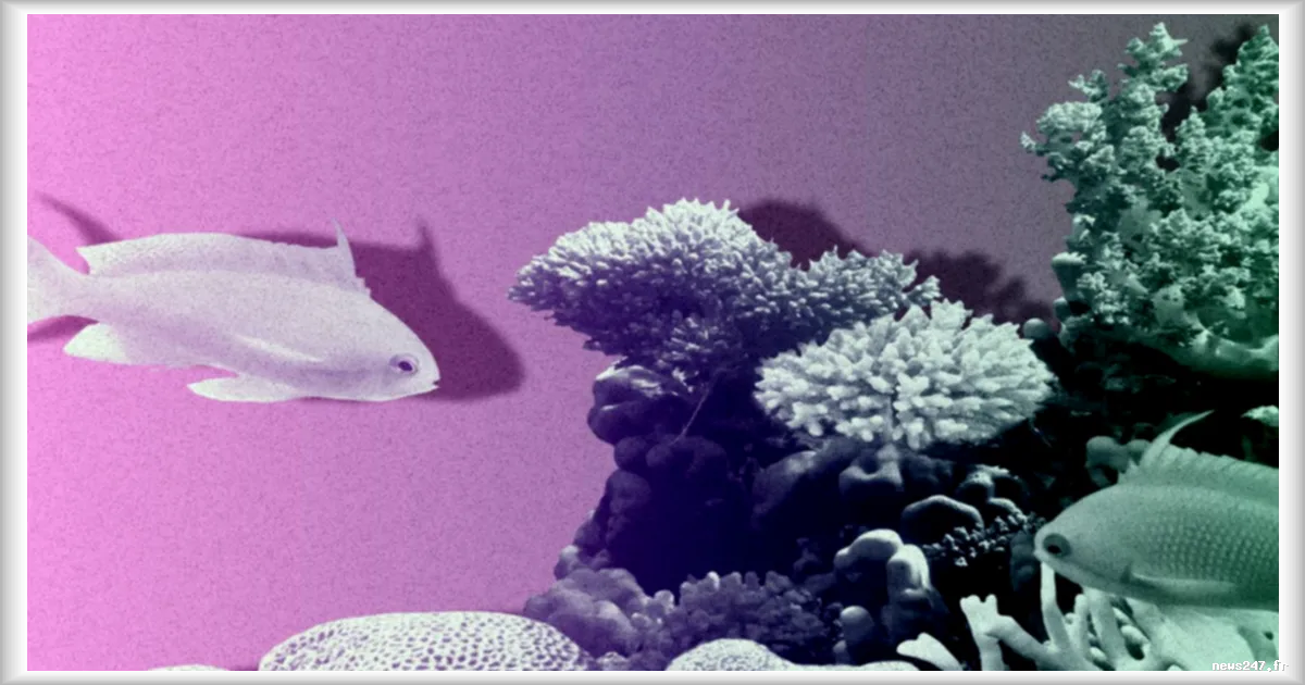 Les intérêts de la nature ne coïncident jamais entièrement avec les intérêts des humains