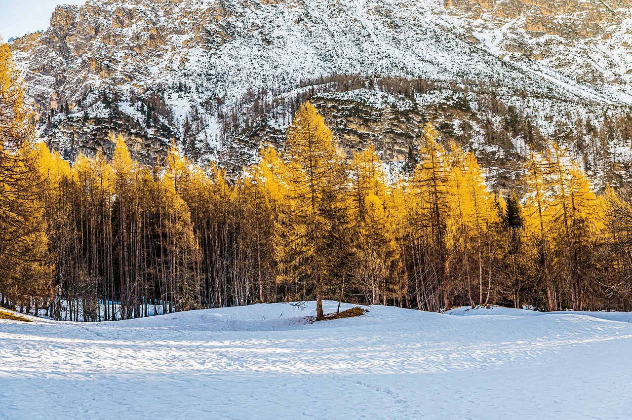 Les Jeux olympiques de Milan-Cortina : Kevin Aymoz et la France en quête de médailles