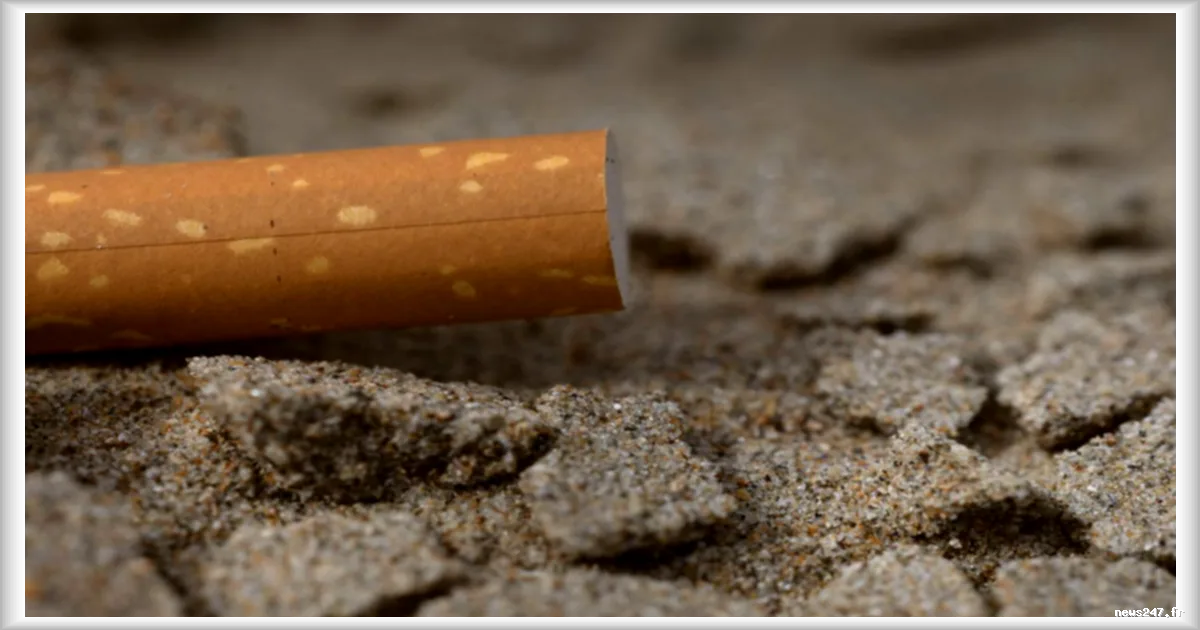 Les mégots : des indicateurs subtils des tensions sociales et des modes de vie en France