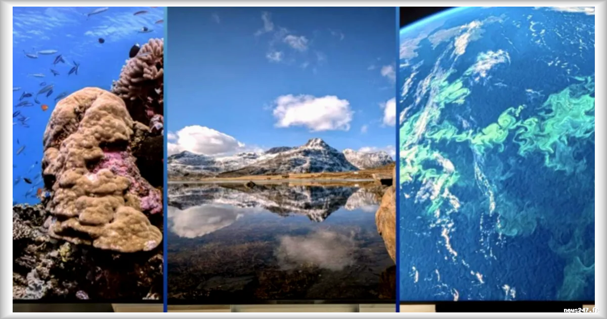 Les meilleures télévisions testées en juin 2026 : trois modèles marquants dont un 10/10 selon Frandroid