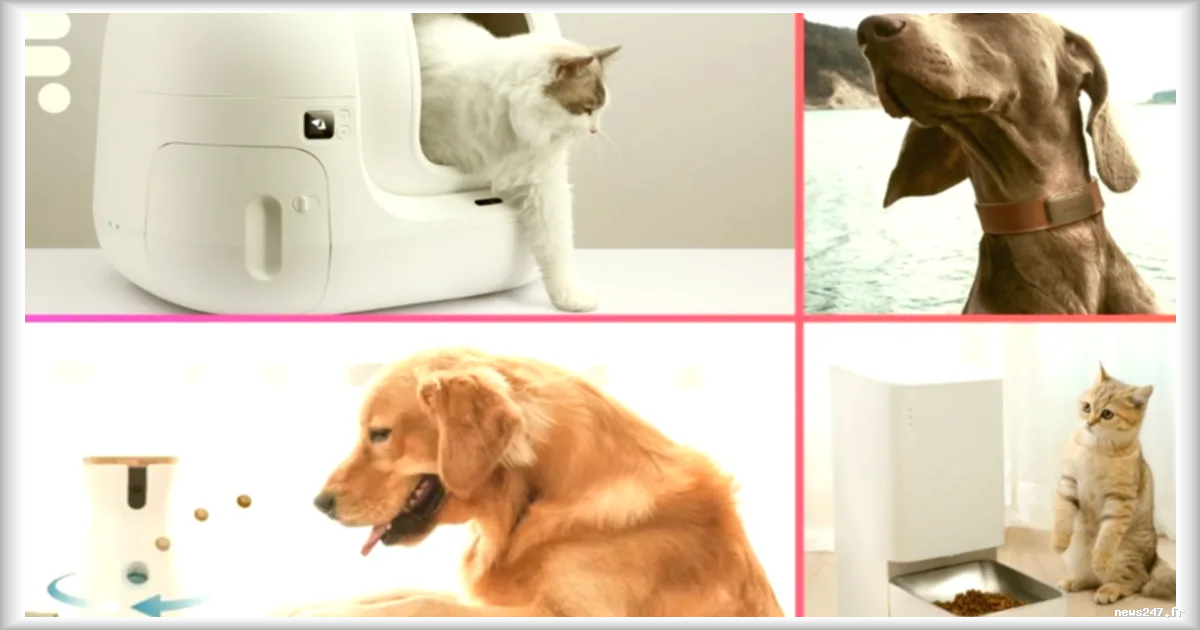 Les meilleurs accessoires connectés pour vos animaux de compagnie