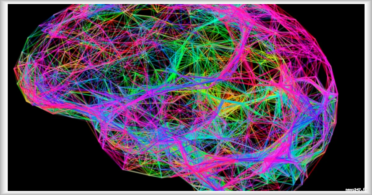 Les mêmes neurones cérébraux activés pour voir et imaginer des objets : une découverte révolutionnaire