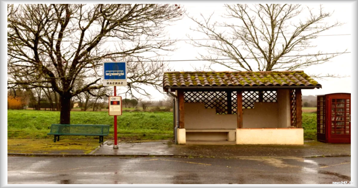 Les modestes économes des campagnes : quand l'écologie rurale se fait discrète