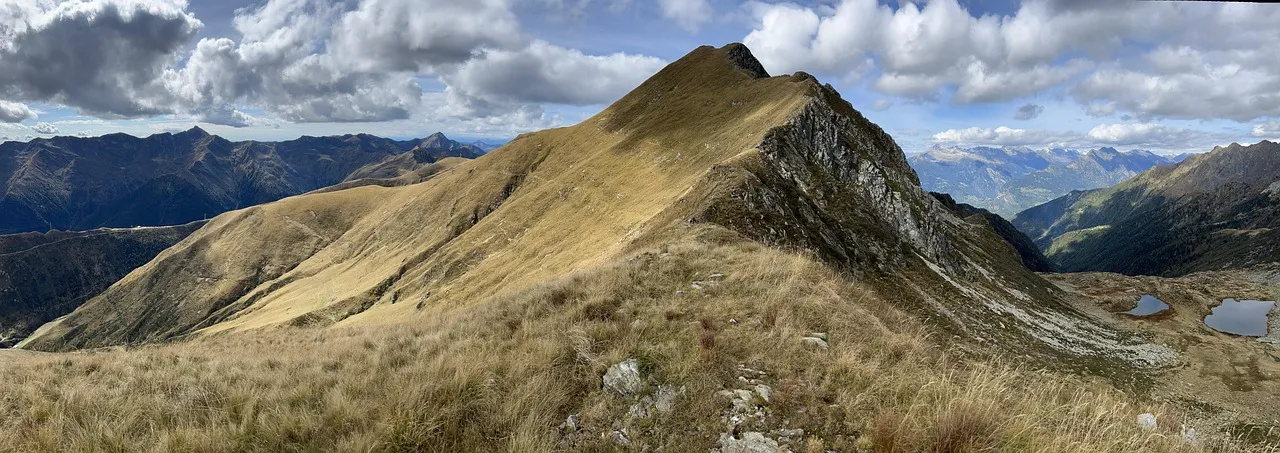 Les mots croisés, un loisir bénéfique pour le cerveau selon les neurosciences