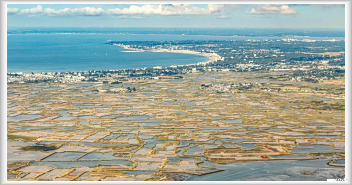 Les paludiers de Guérande investissent dans la préservation des digues des marais salants