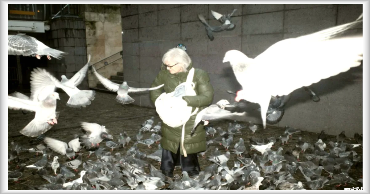 Les pigeons en ville : des oiseaux mal compris selon une étude du Monde